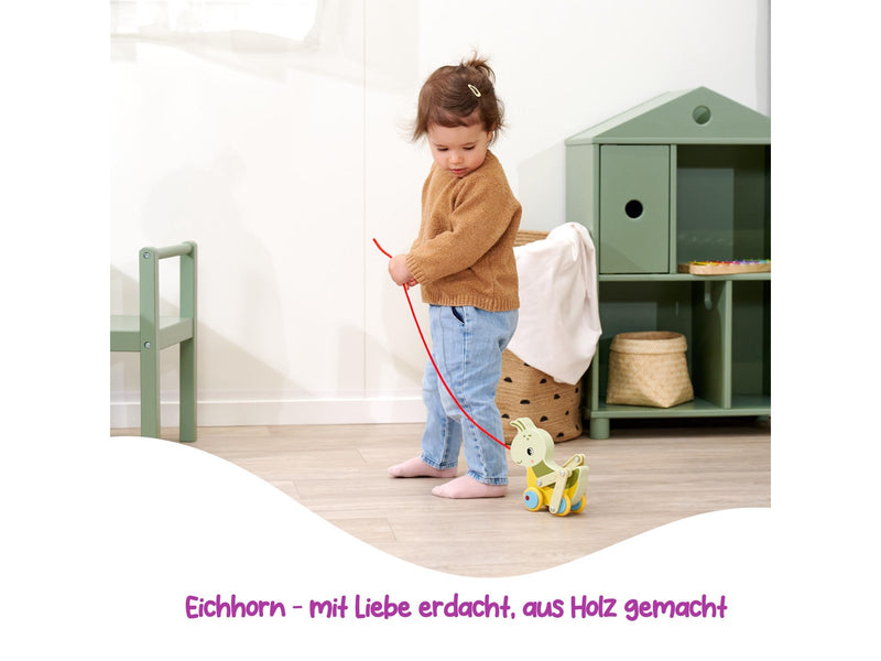 Eichhorn  Pullback Grasshopper