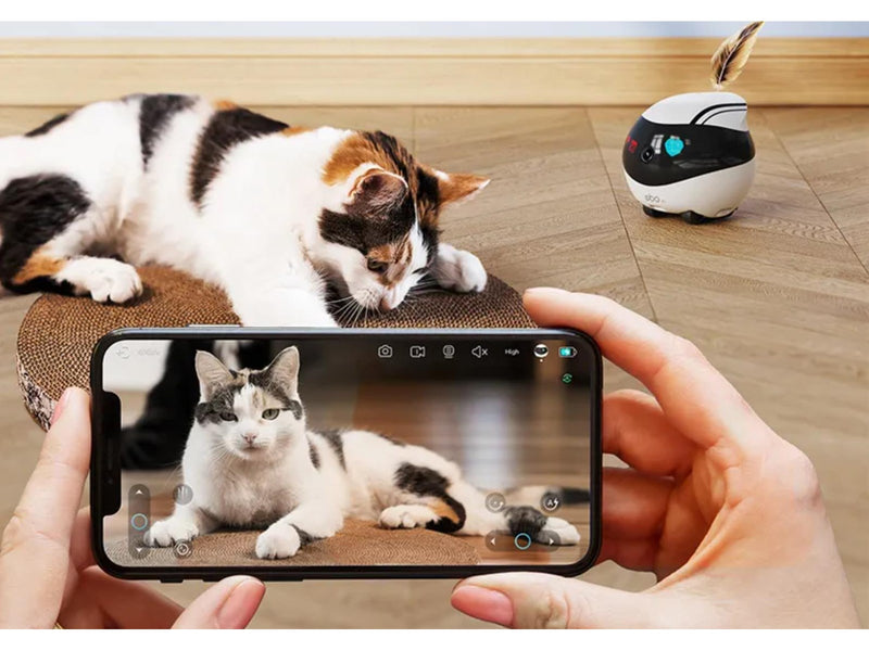 Enabot EBO AIR  Pet Campanion Robot