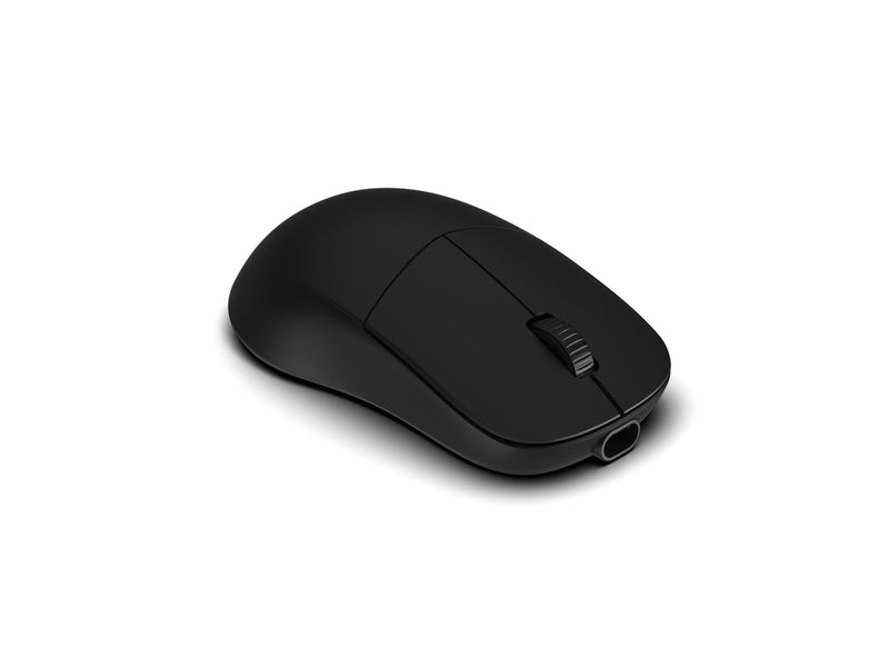 Endgame Gear XM2w 4k (v2) - Black - Gaming Maus (Schwarz)