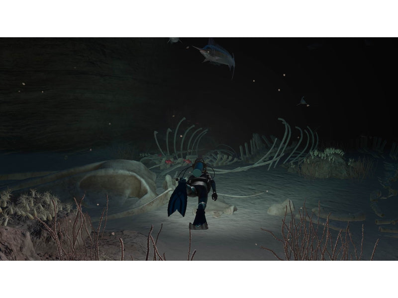 Endless Ocean Luminous - Nintendo Switch - Simulation - PEGI 3
