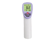 Esperanza Thermometer ECT002
