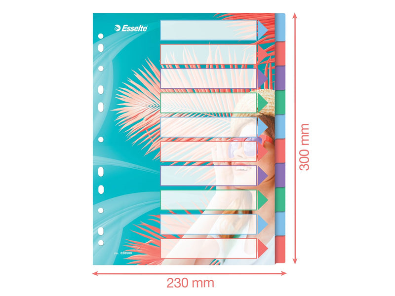 Esselte  Colour'Breeze A4 Register 10 Taben, PP