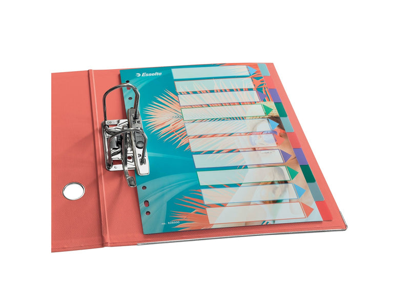 Esselte  Colour'Breeze A4 Register 10 Taben, PP