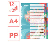 Esselte  Colour'Breeze A4 Register 12 Taben, PP