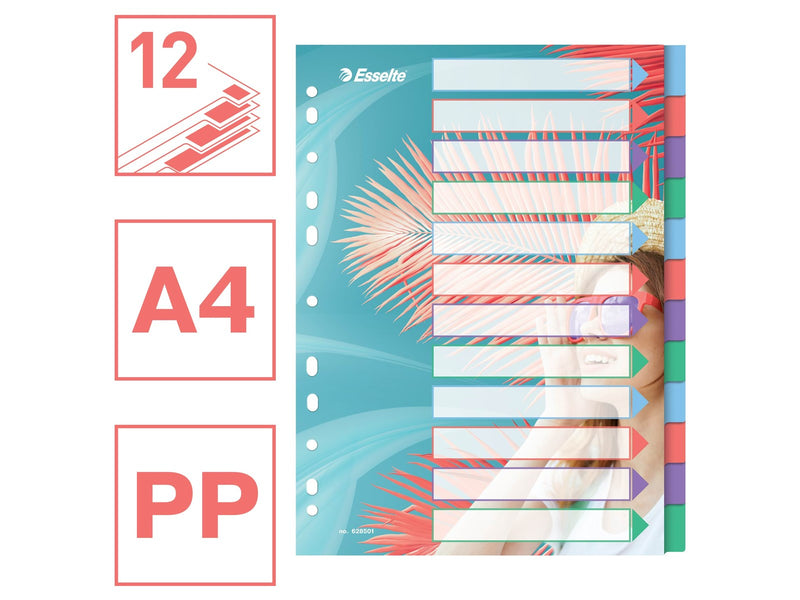 Esselte  Colour'Breeze A4 Register 12 Taben, PP