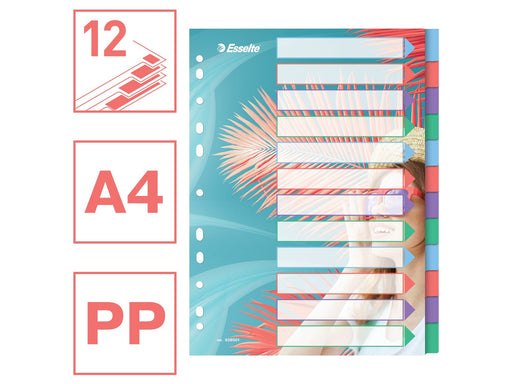 Esselte  Colour'Breeze A4 Register 12 Taben, PP