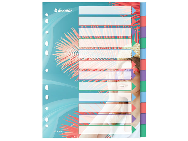 Esselte  Colour'Breeze A4 Register 12 Taben, PP