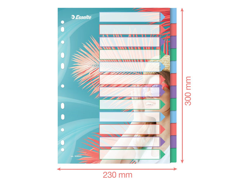 Esselte  Colour'Breeze A4 Register 12 Taben, PP