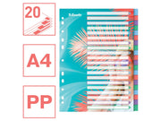 Esselte  Colour'Breeze A4 Register 20 Taben, PP