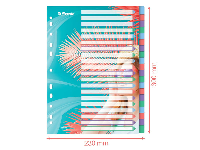Esselte  Colour'Breeze A4 Register 20 Taben, PP