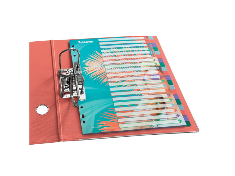 Esselte  Colour'Breeze A4 Register 20 Taben, PP