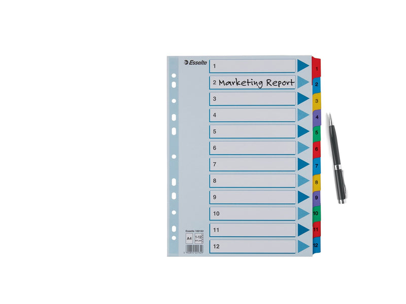Esselte Register Zahlen, Karton