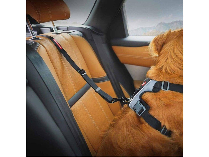 Ezydog - Click Dog Seat Belt Isofix L - (605.0746)