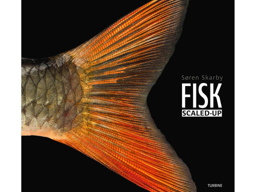 FISK – scaled-up