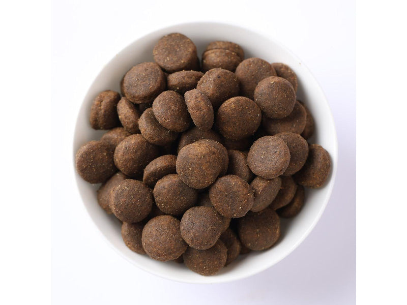 Farmina Pet Food BOAR AND APPLE ADULT MEDIUM & MAXI - 12kg