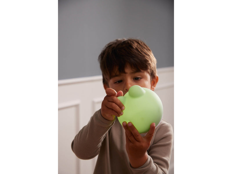 Filibabba LED lamp - Frey the frog