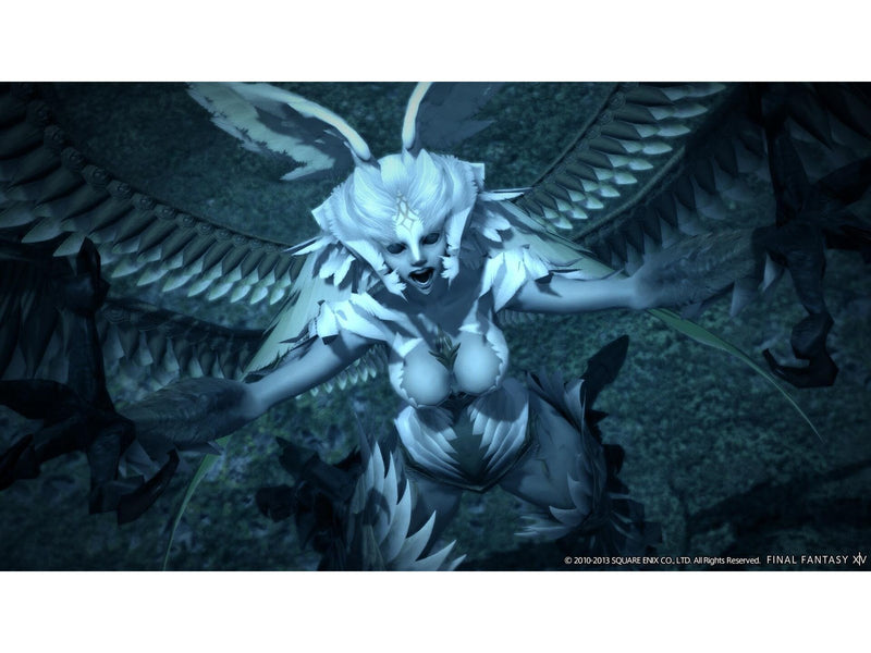 Final Fantasy XIV: Online Starter Edition - Sony PlayStation 4 - RPG - PEGI 16