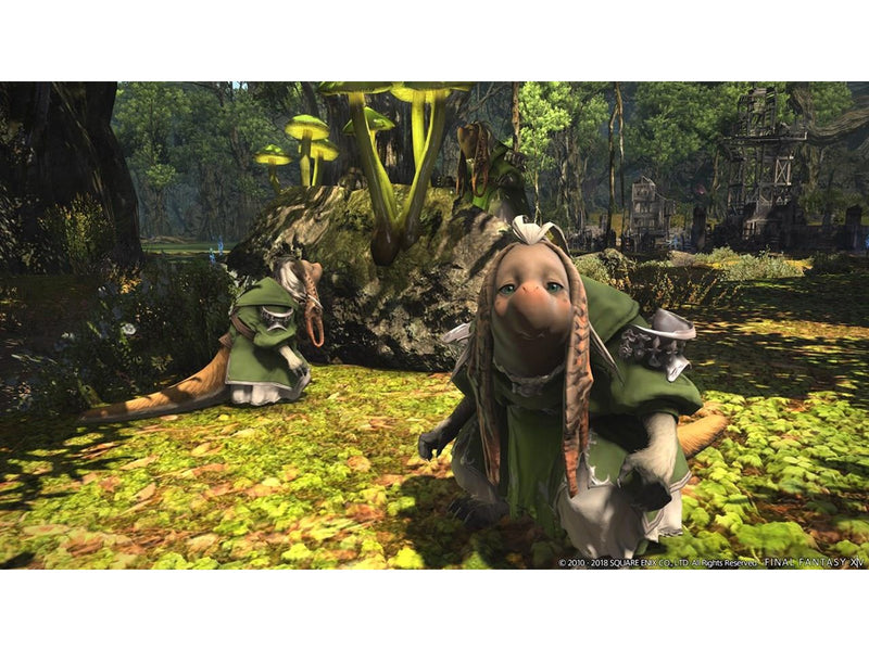 Final Fantasy XIV: Shadowbringers - Sony PlayStation 4 - MMORPG - PEGI 16