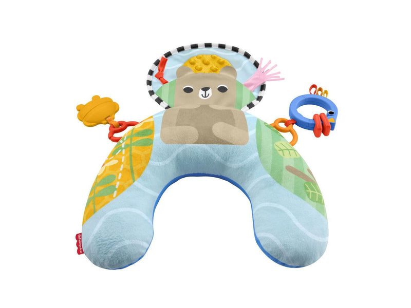 Fisher Price Fisher-Price JHB44 learning toy