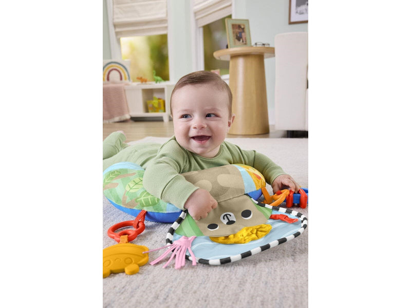 Fisher Price Fisher-Price JHB44 learning toy