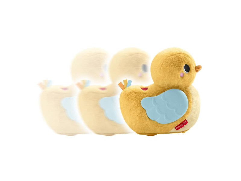 Fisher Price Flap & Follow Duck