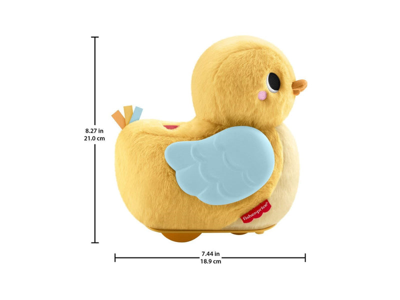 Fisher Price Flap & Follow Duck