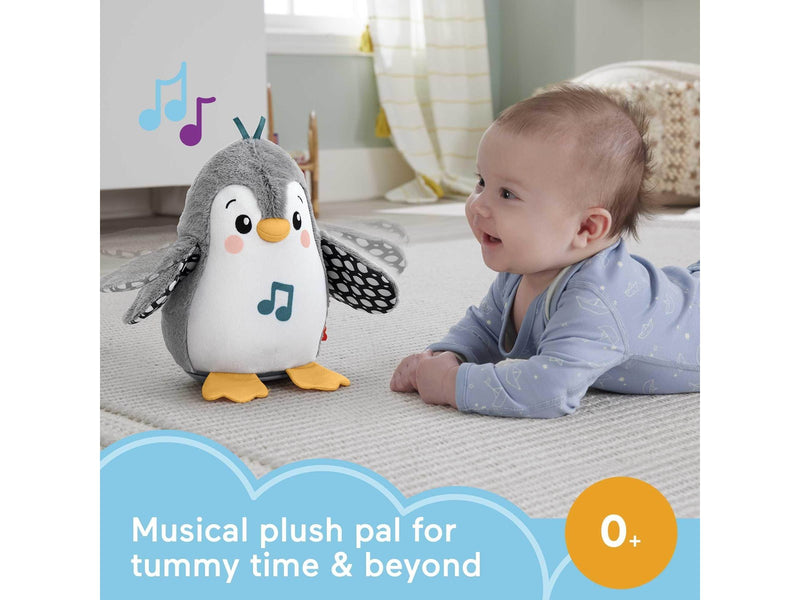 Fisher Price Flap & Wobble Penguin