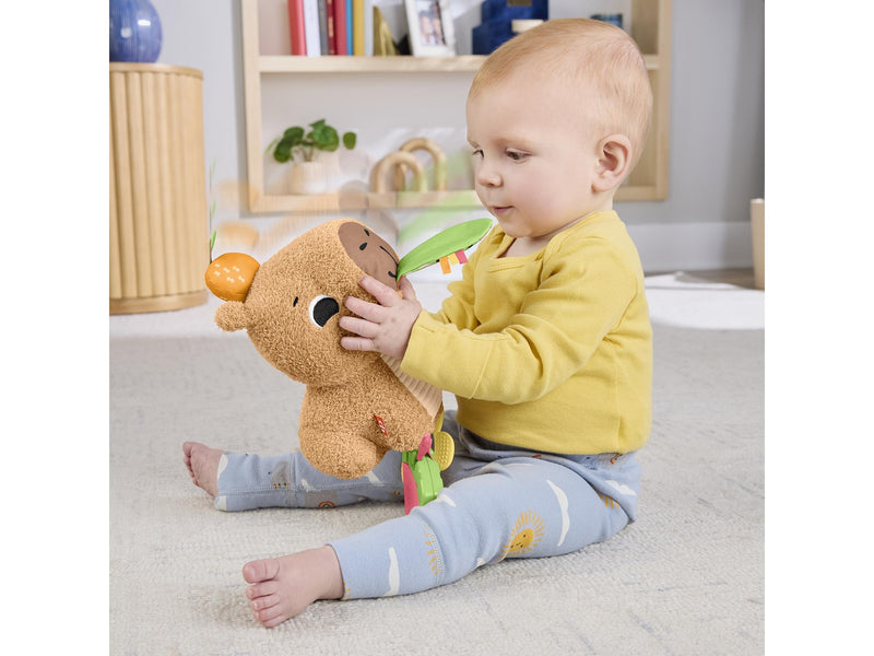 Fisher Price Snuggly Snacky Capy