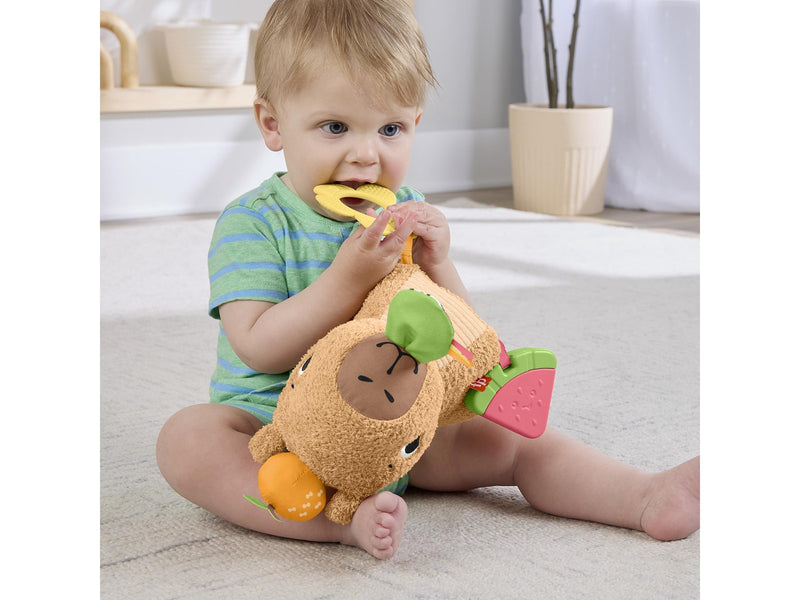 Fisher Price Snuggly Snacky Capy