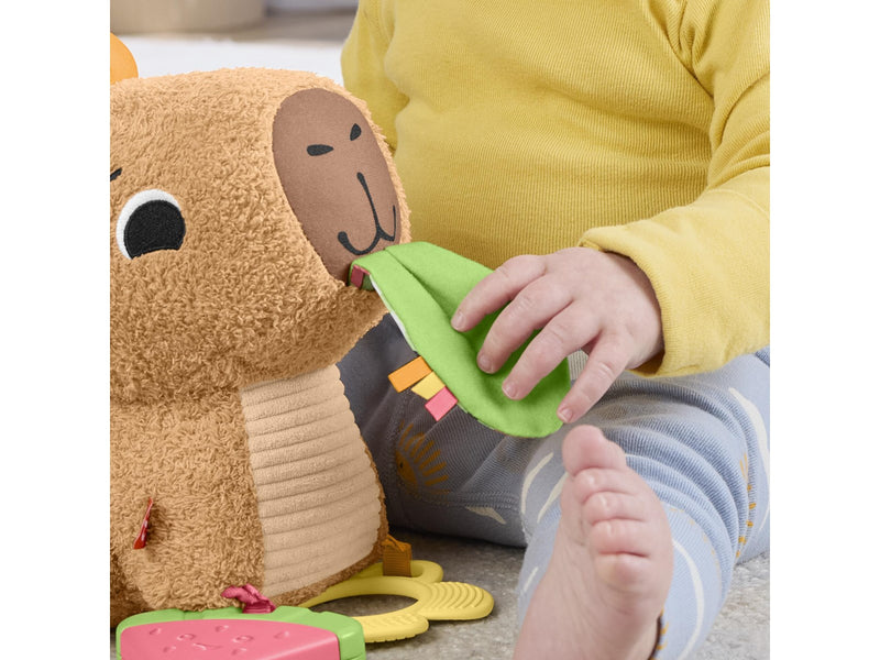 Fisher Price Snuggly Snacky Capy