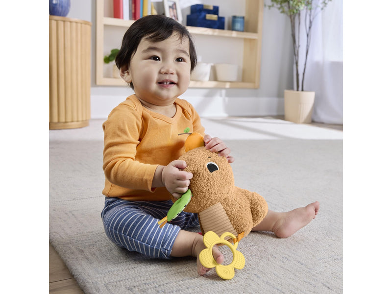 Fisher Price Snuggly Snacky Capy