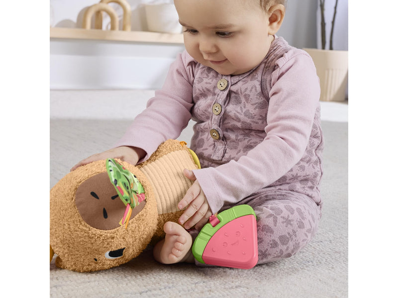 Fisher Price Snuggly Snacky Capy