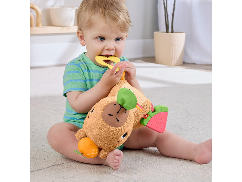 Fisher Price Snuggly Snacky Capy