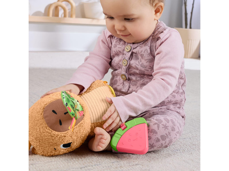 Fisher Price Snuggly Snacky Capy