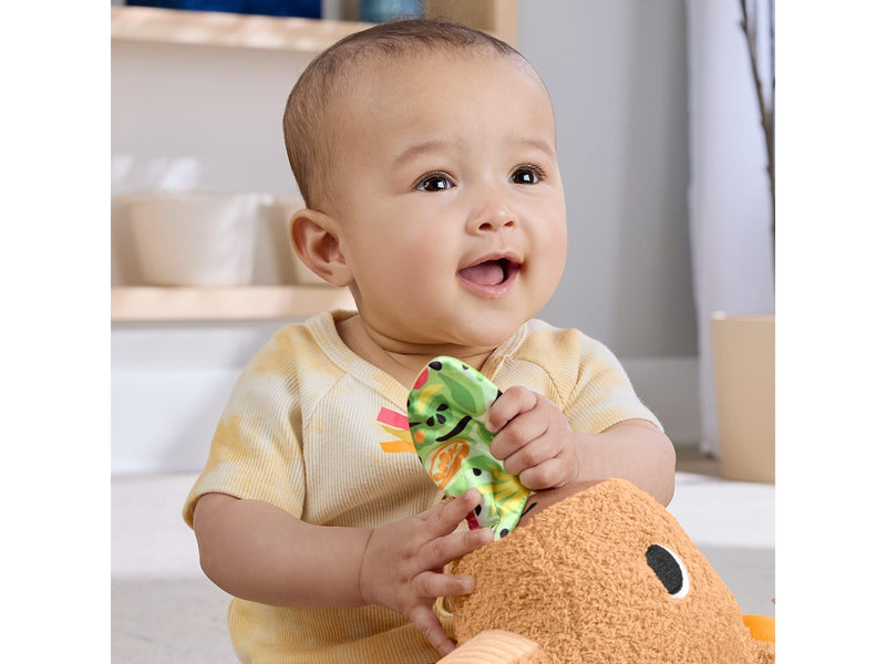 Fisher Price Snuggly Snacky Capy