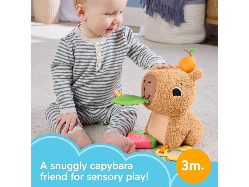 Fisher Price Snuggly Snacky Capy