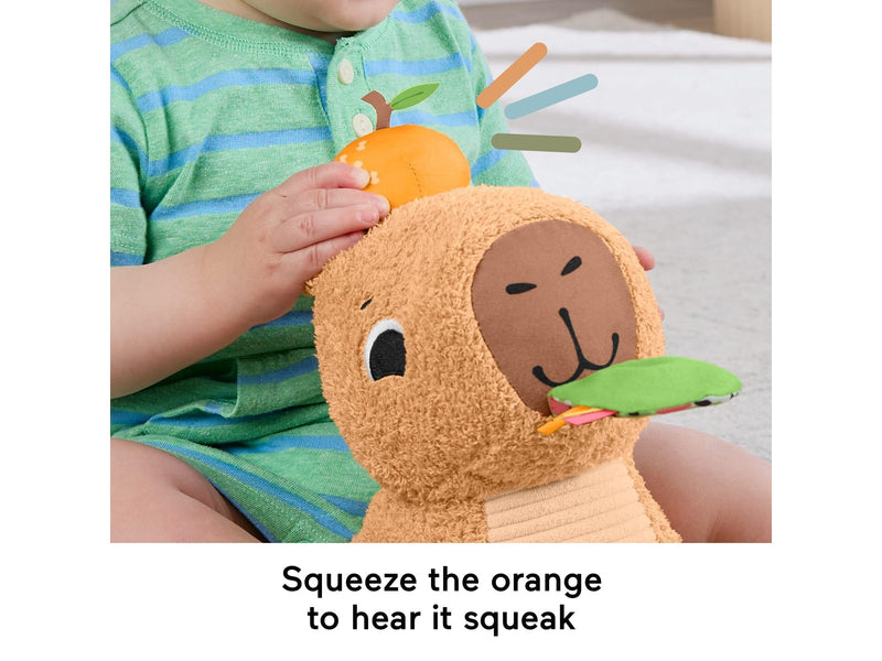 Fisher Price Snuggly Snacky Capy