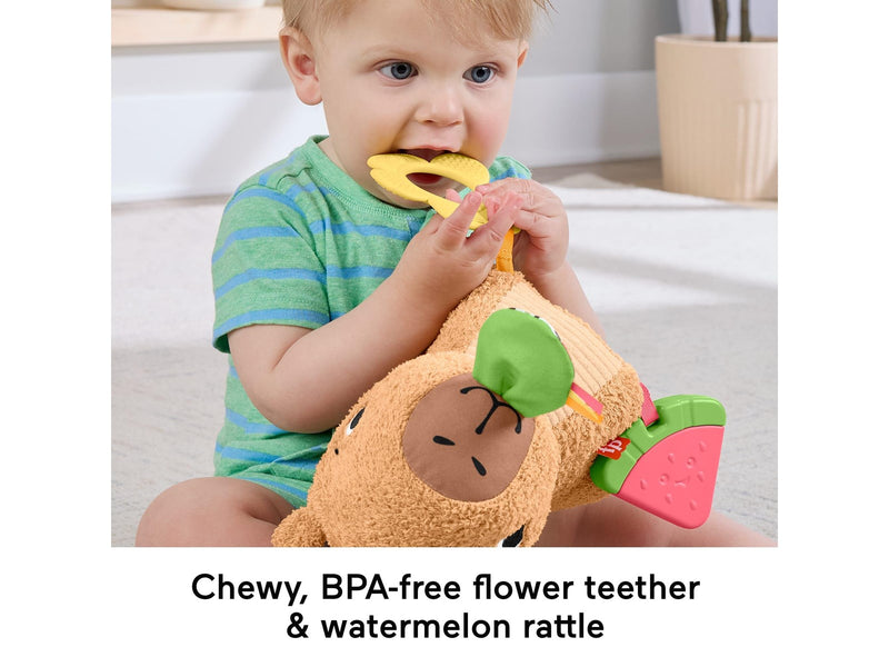 Fisher Price Snuggly Snacky Capy