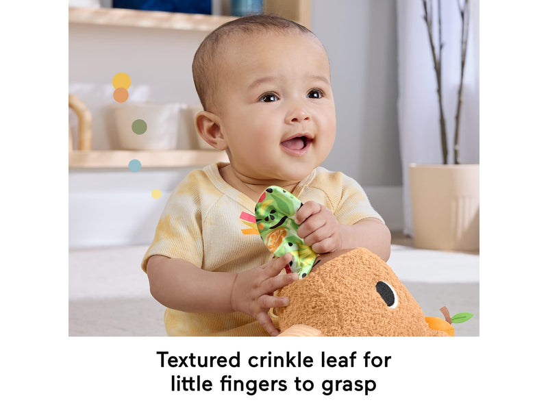 Fisher Price Snuggly Snacky Capy