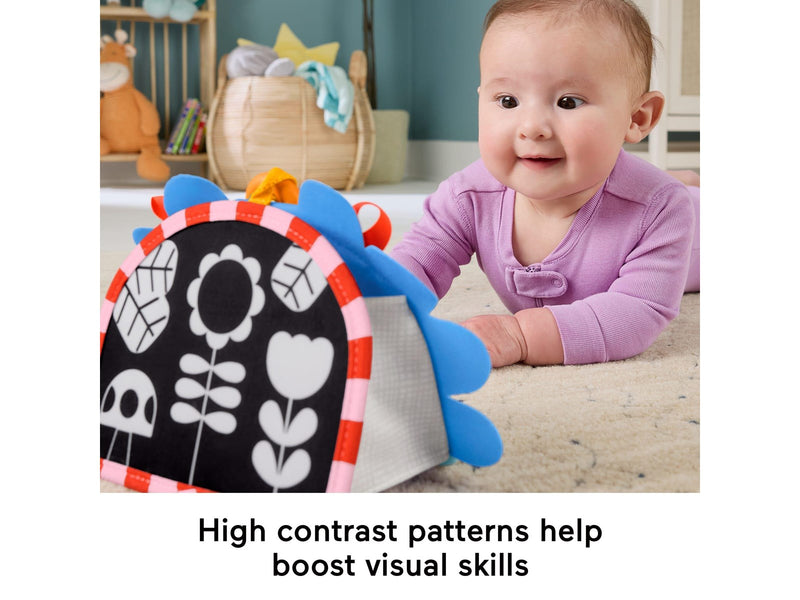 Fisher Price learning toy