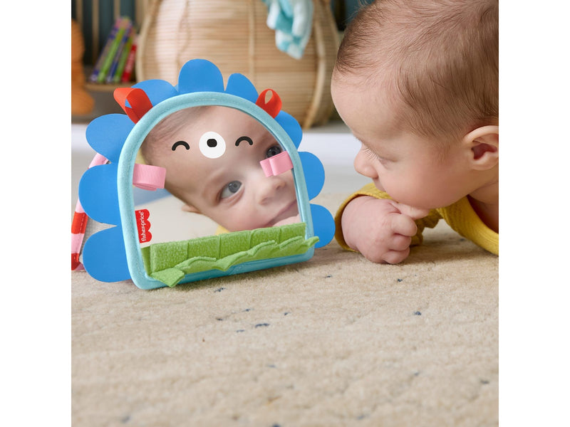 Fisher Price learning toy