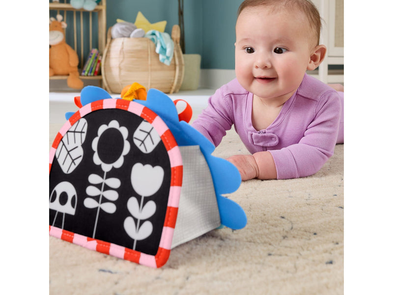 Fisher Price learning toy