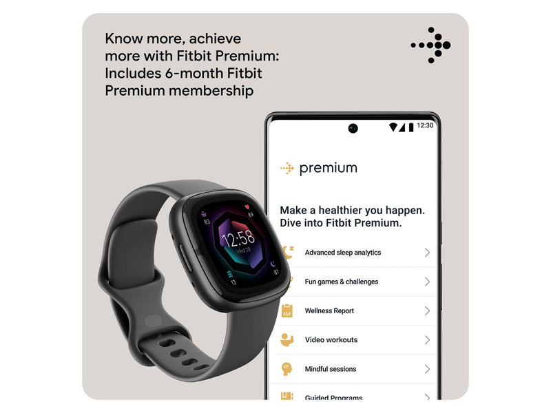 Fitbit Sense 2 Shadow Grey/Graphite