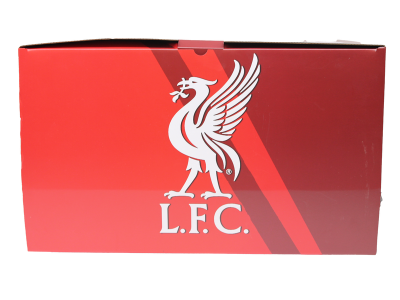 Footballs Finest - VIRGIL VAN DIJK - OFFICIAL LIVERPOOL FC - FOOTBALL'S FINEST 60CM RESIN STATUE - Figur