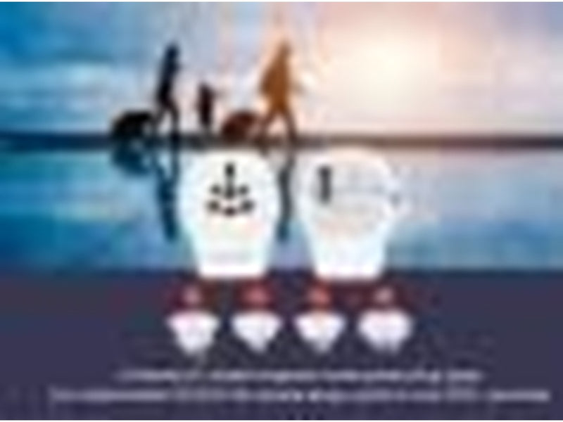 Gembird Universal travel power adapter - 20W