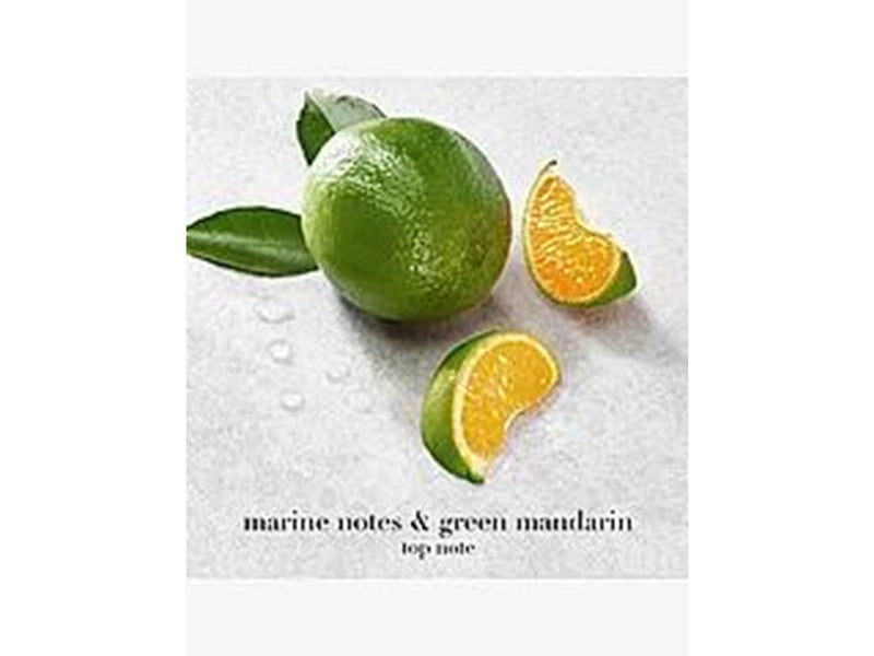 Giorgio Armani Acqua Di Gio Pour Homme Edp Spray - 30 ml0