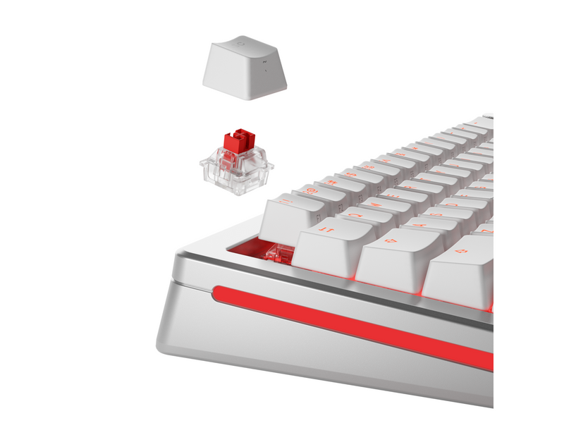 Glorious HE Switches (36pcs) - Fox - Lubed - [Linear] 45g - Key Switches