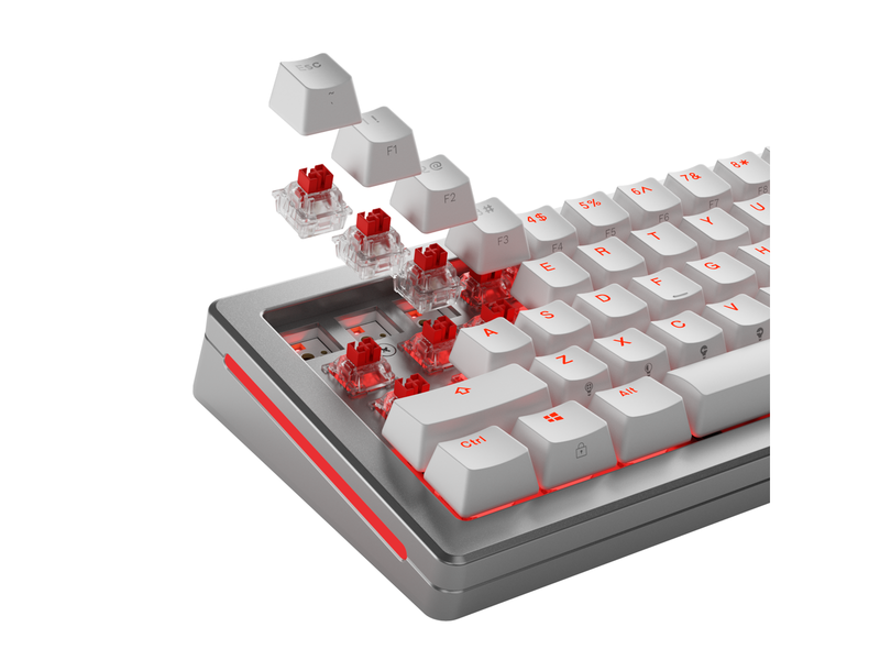 Glorious HE Switches (36pcs) - Fox - Lubed - [Linear] 45g - Key Switches