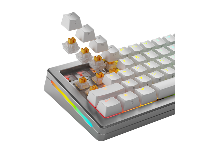 Glorious HE Switches (36pcs) - Panda - Silent - [Tactile] 45g