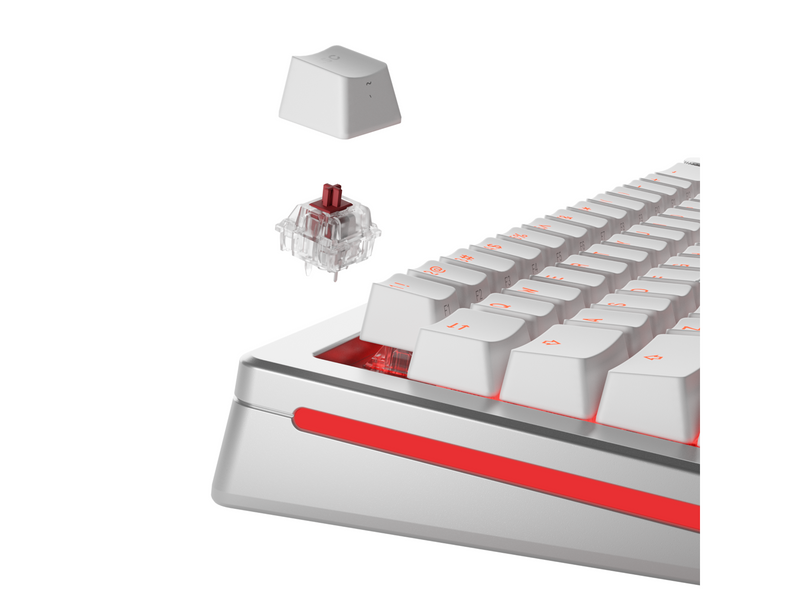 Glorious Mechanical Switches (110pcs) - Fox - Heavy [Linear] 55g - Key Switches